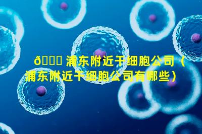 🐛 浦东附近干细胞公司（浦东附近干细胞公司有哪些）